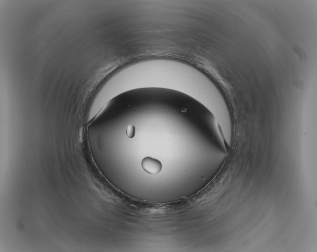 X0000112970068200909171327