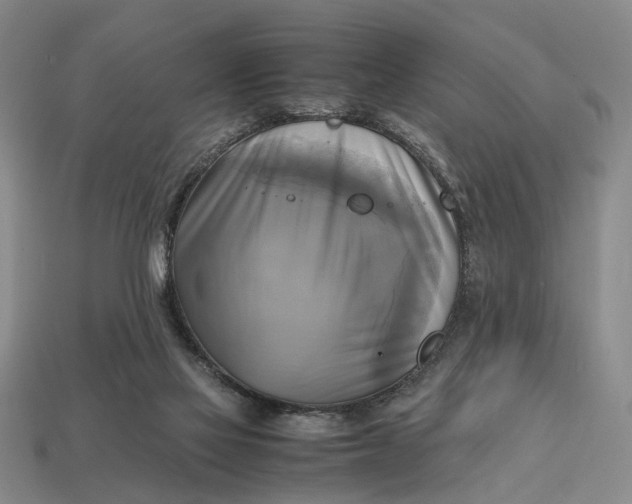 X0000112970069200909171327