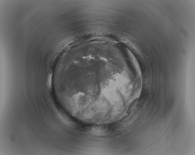 X0000112970070200909171327