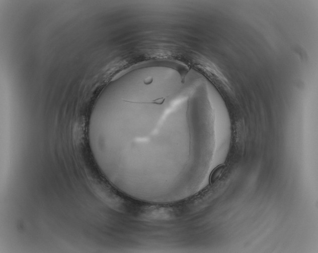 X0000112970073200909171327