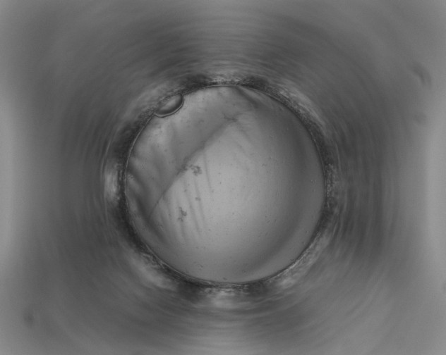 X0000112970074200909171327