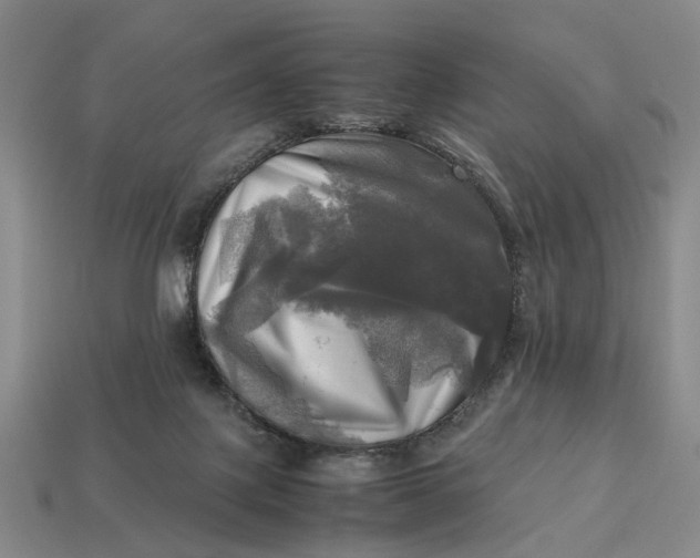 X0000112970075200909171327