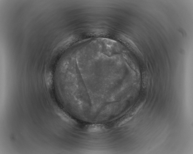 X0000112970077200909171327