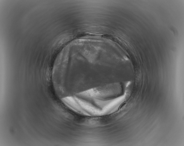 X0000112970078200909171327