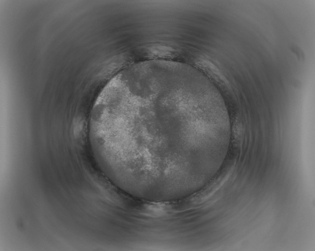 X0000112970079200909171327