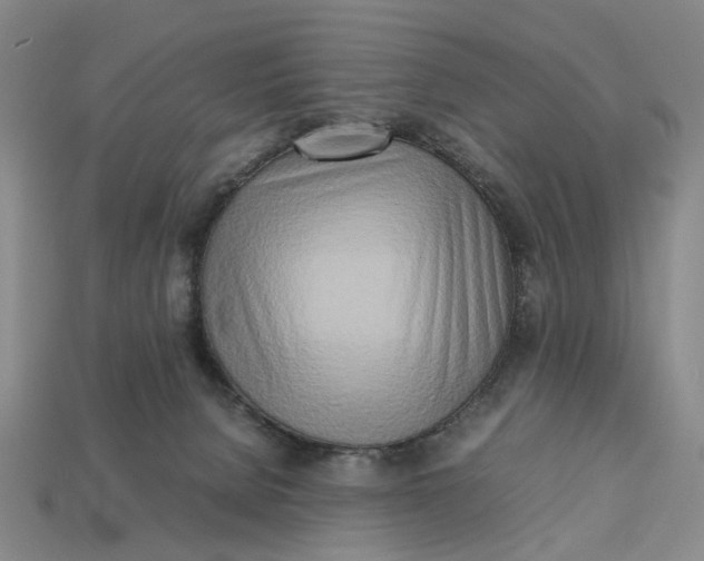 X0000112970080200909171327