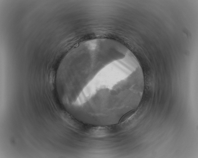 X0000112970082200909171327