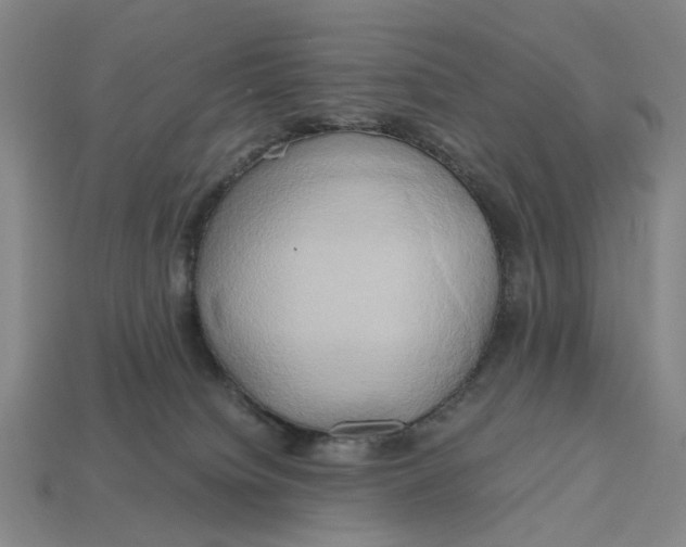 X0000112970084200909171327