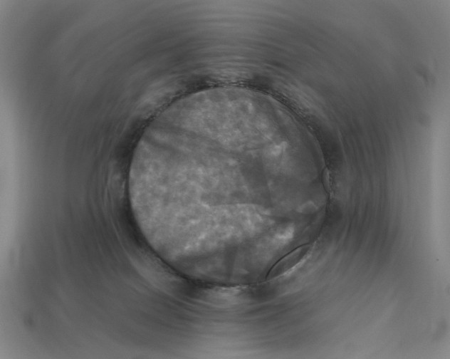 X0000112970086200909171327