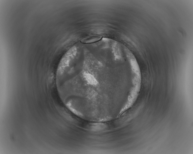 X0000112970087200909171327