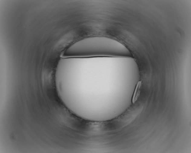 X0000112970088200909171327