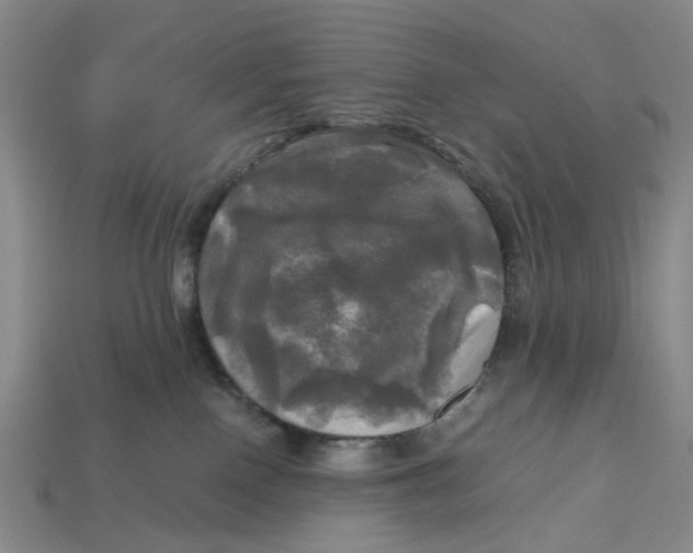 X0000112970090200909171327