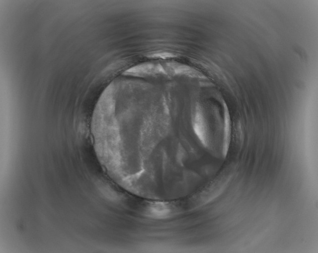 X0000112970091200909171327