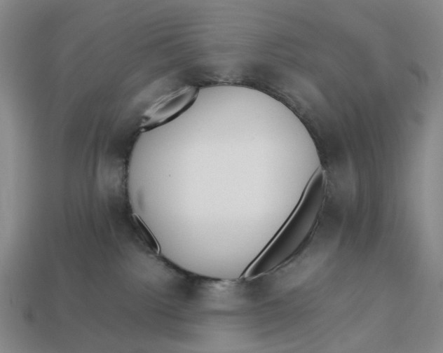 X0000112970092200909171327