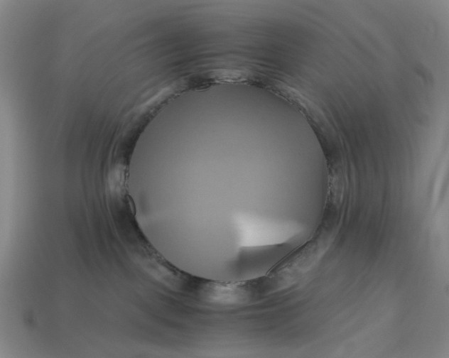 X0000112970093200909171327