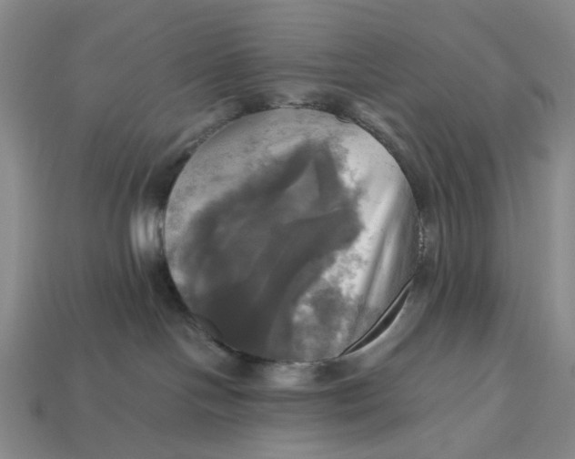 X0000112970094200909171327