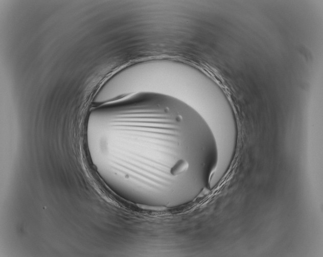 X0000112970097200909171326