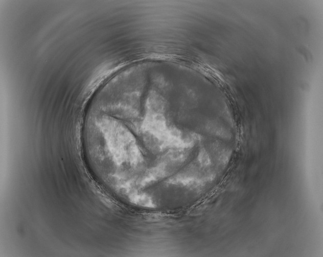 X0000112970098200909171326