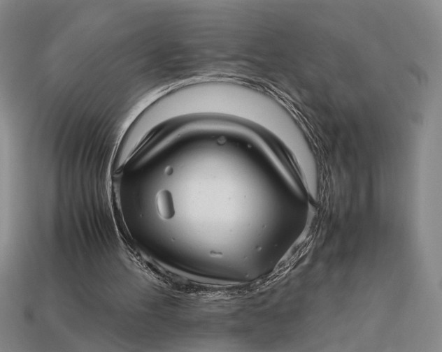 X0000112970100200909171326