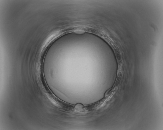 X0000112970101200909171326