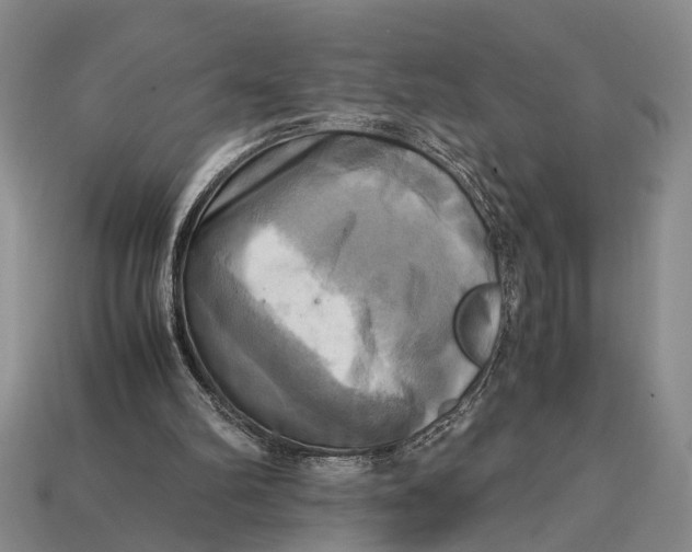 X0000112970102200909171326