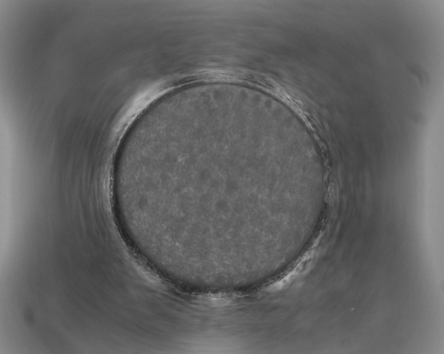 X0000112970103200909171326