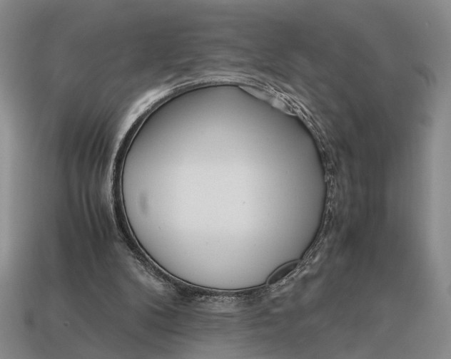 X0000112970104200909171326