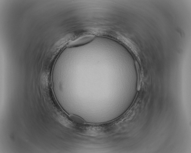 X0000112970105200909171326