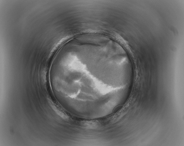 X0000112970106200909171326