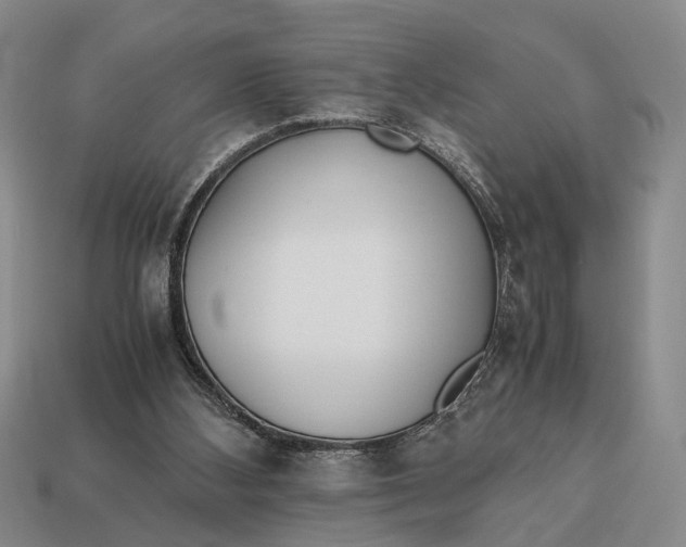 X0000112970108200909171326