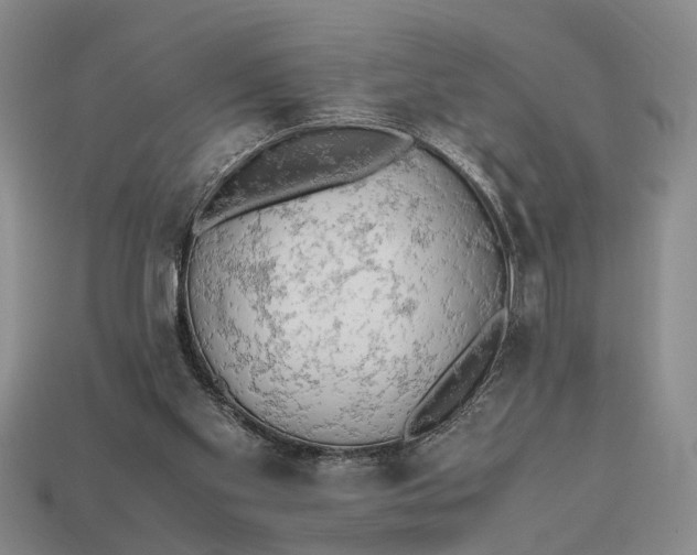 X0000112970109200909171326