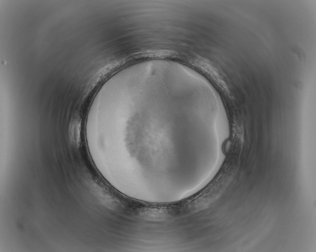 X0000112970110200909171326