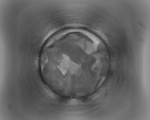 X0000112970111200909171326