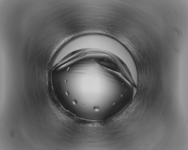 X0000112970112200909171326