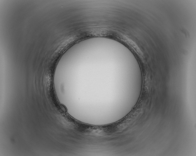 X0000112970113200909171326