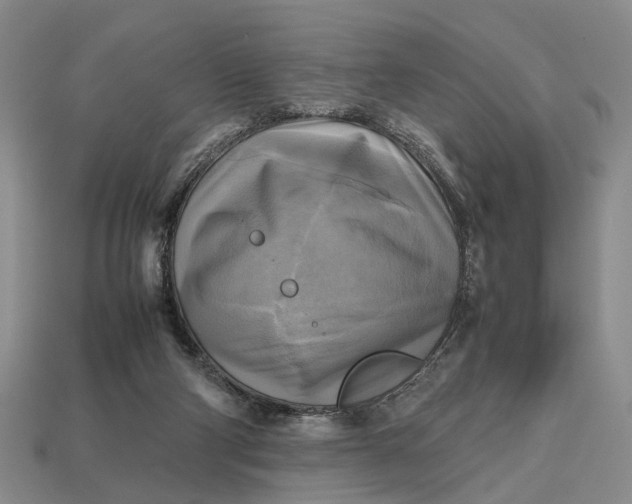 X0000112970114200909171326