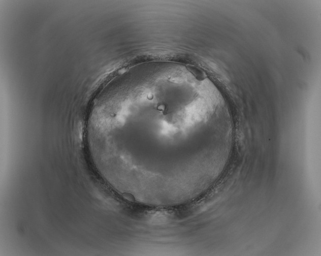 X0000112970115200909171326