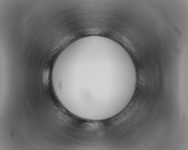 X0000112970118200909171326