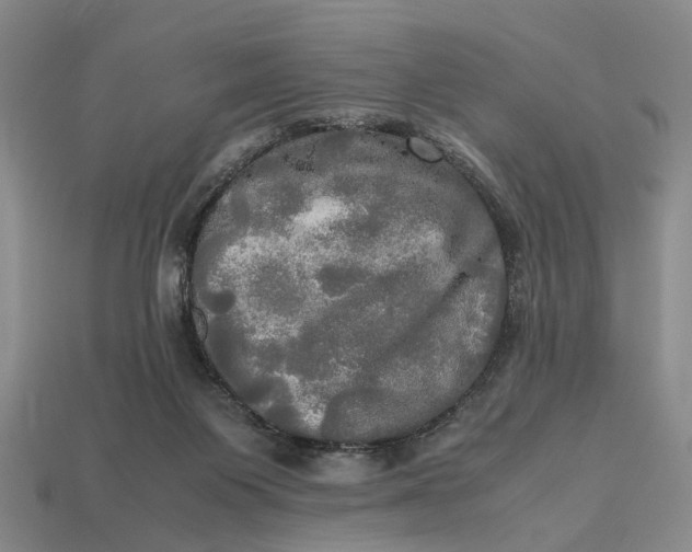 X0000112970119200909171326