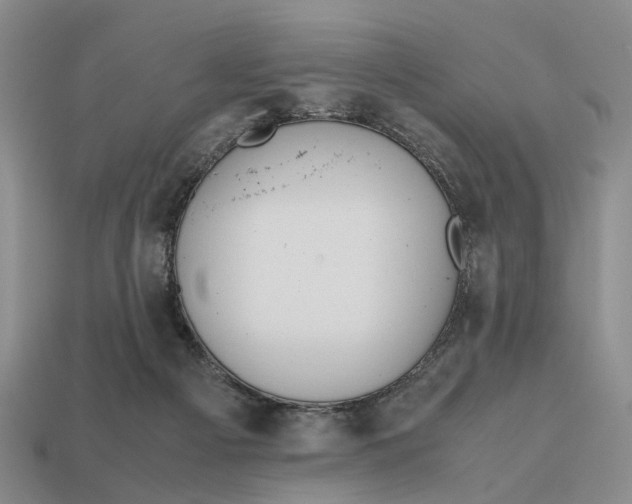 X0000112970121200909171326