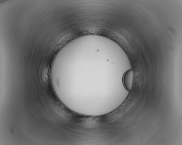 X0000112970122200909171326