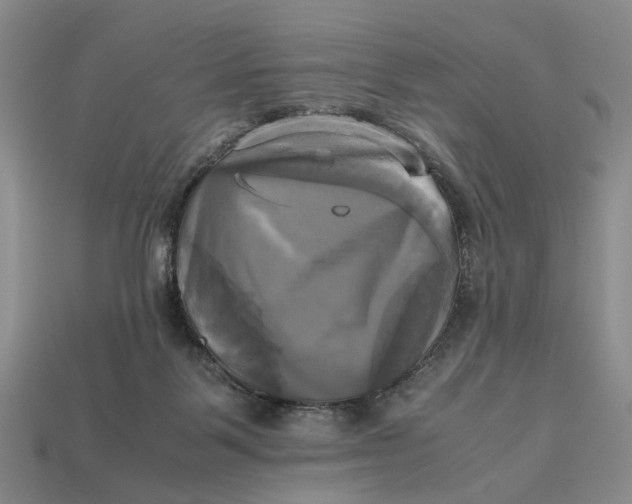 X0000112970123200909171326