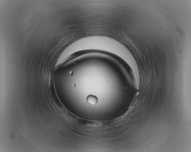 X0000112970124200909171326