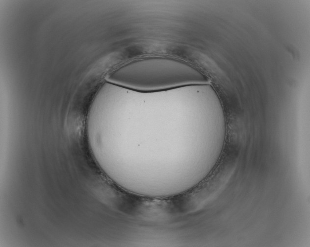 X0000112970125200909171326