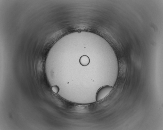 X0000112970126200909171326