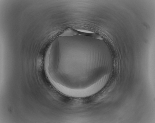 X0000112970127200909171326