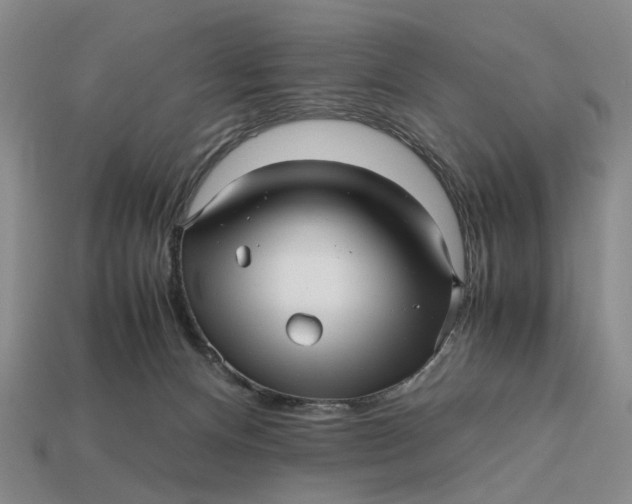 X0000112970128200909171326