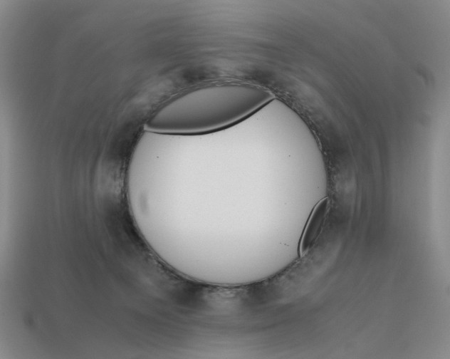 X0000112970129200909171326