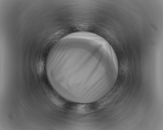 X0000112970130200909171326