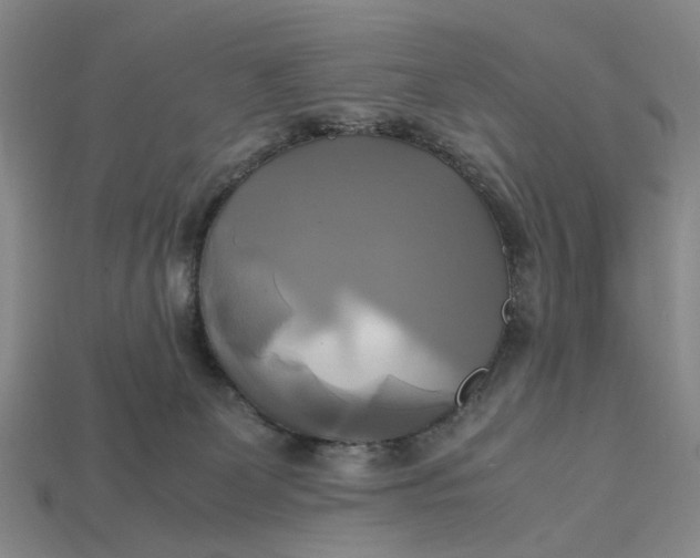 X0000112970131200909171326